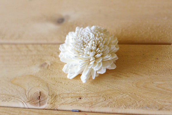 Wholesale/Bulk Wood Sola Zinnias 2"