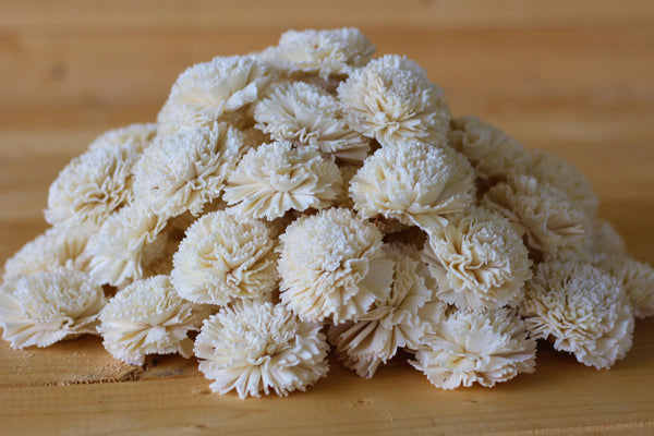 Wholesale/Bulk Sola Carnations 2" ( 50 count )