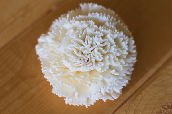 Wholesale/Bulk Sola Carnations 2" ( 50 count )