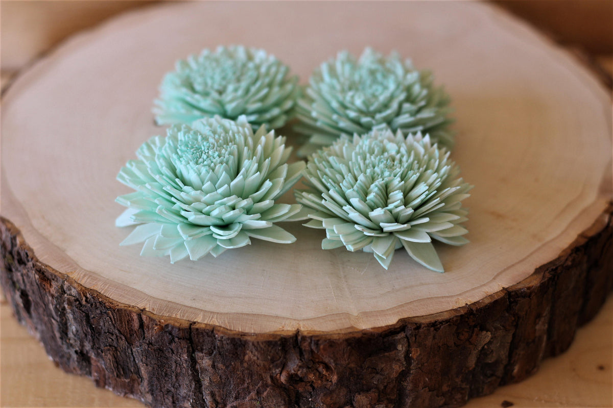 w.o.d.　F.L.O.W.E.R.S. il_fullxfull.