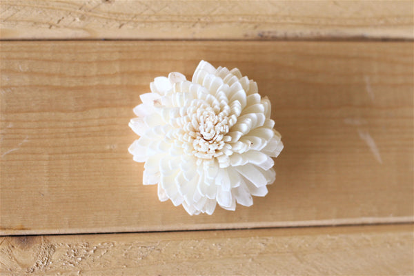 Wholesale/Bulk Wood Sola Zinnias 2"  (50 Count)