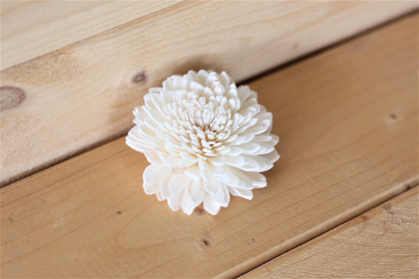 Wholesale/Bulk Wood Sola Zinnias 2"  (50 Count)