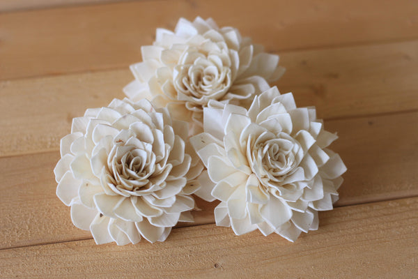 Wholesale/Bulk Large Sola Dahlias 4"