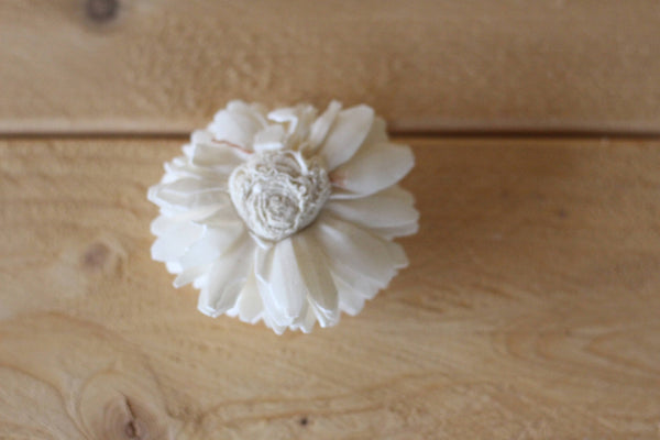 Wholesale/Bulk Wood Sola Zinnias 2"