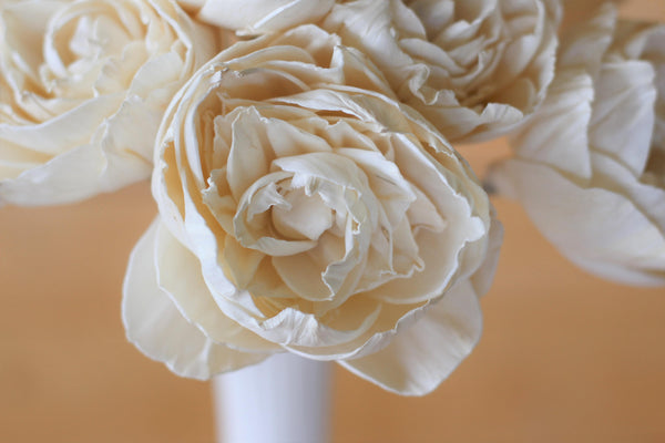 12 Stemmed Peony Wood Flowers