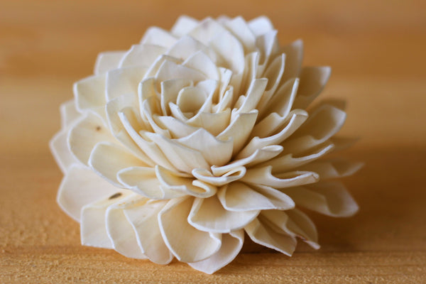 Wholesale/Bulk Sola Wood Dahlias 3"