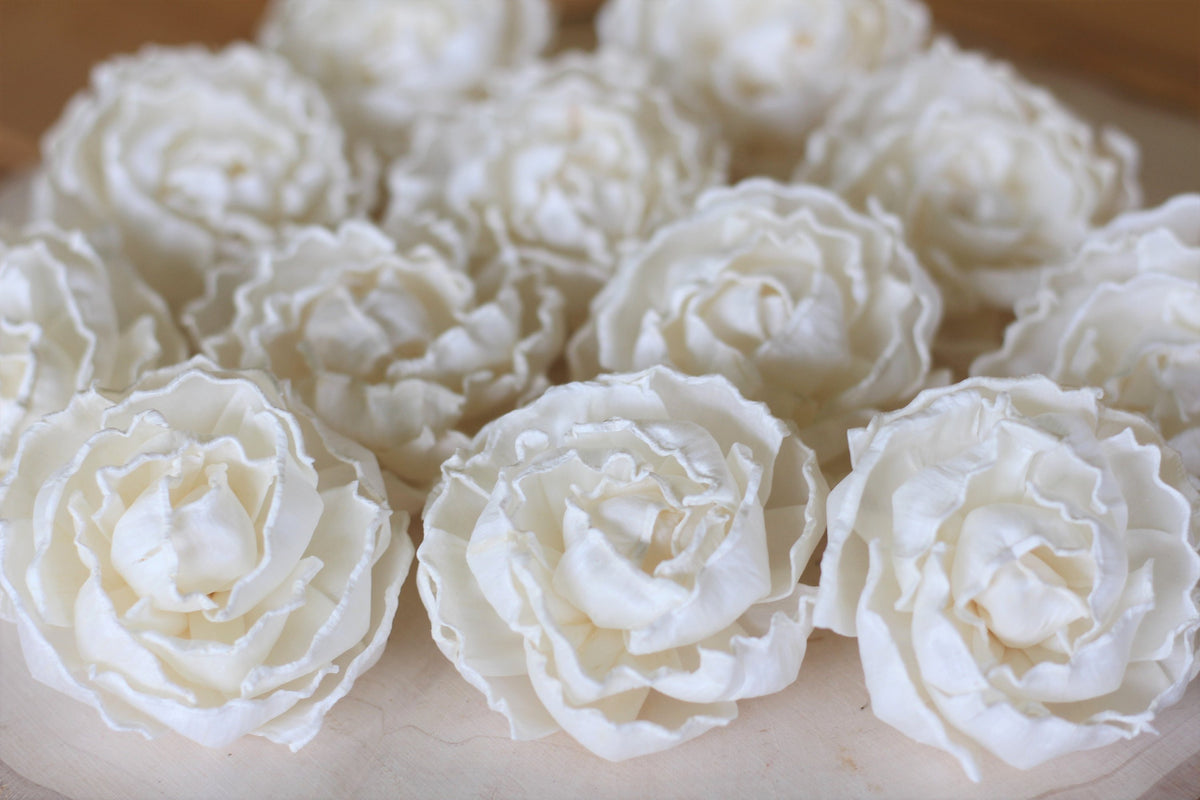 Sola Cabbage Roses 2.5