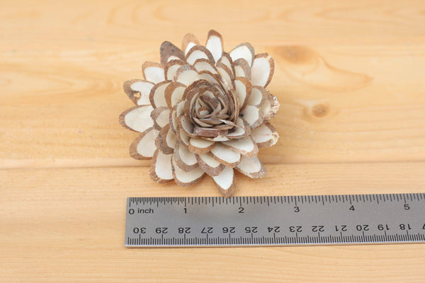 Wholesale/Bulk  Sola Wood Almond Flowers 2.5"