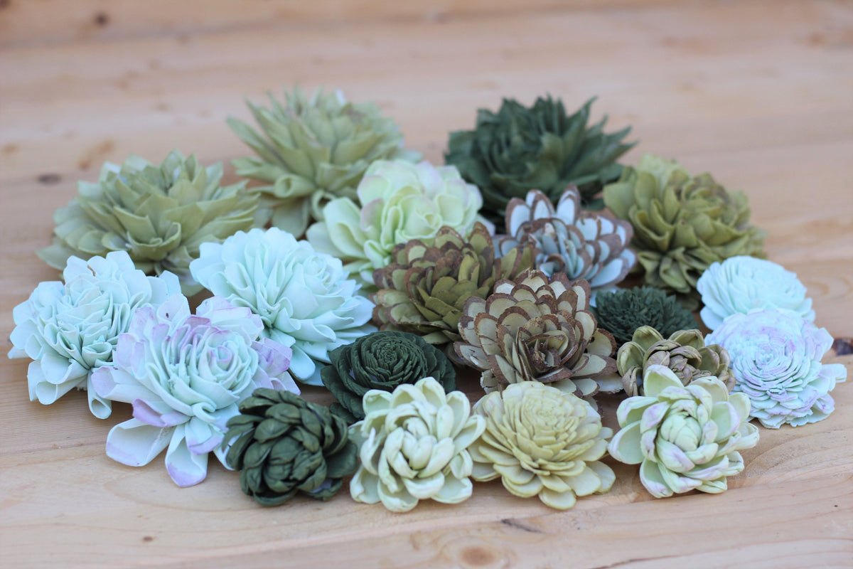 wood and succulents Mixed Assorted Sola Wood Succulents 100 Flowers