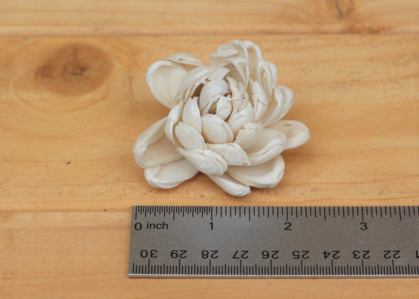 Sola Wood Cactus Lotus Flowers