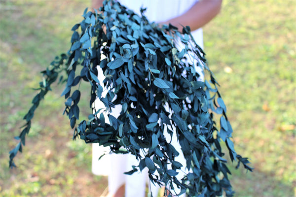 Real Preserved Blue Green Teardrop Eucalyptus, preserved parvafolia eucalyptus