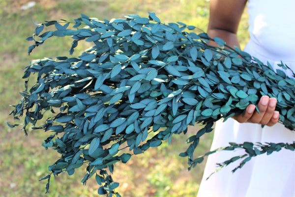 Real Preserved Blue Green Teardrop Eucalyptus, preserved parvafolia eucalyptus