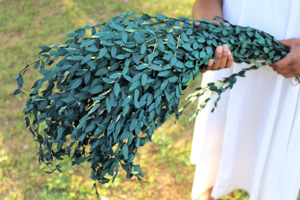 Real Preserved Blue Green Teardrop Eucalyptus, preserved parvafolia eucalyptus