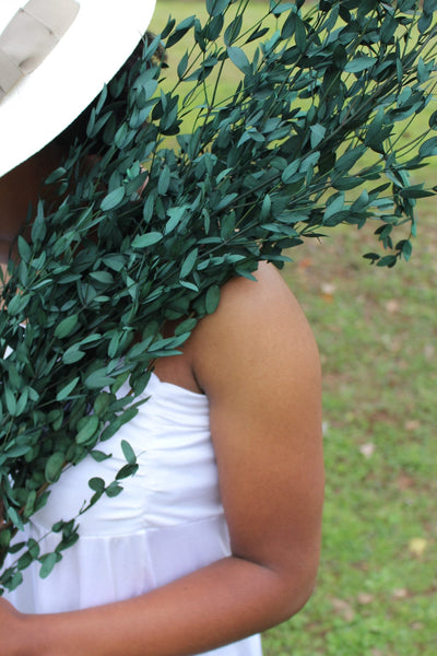 Eucalyptus: Real Preserved Green Teardrop Eucalyptus, preserved parvafolia eucalyptus, greenery for bouquets, eucalyptus for bouquets