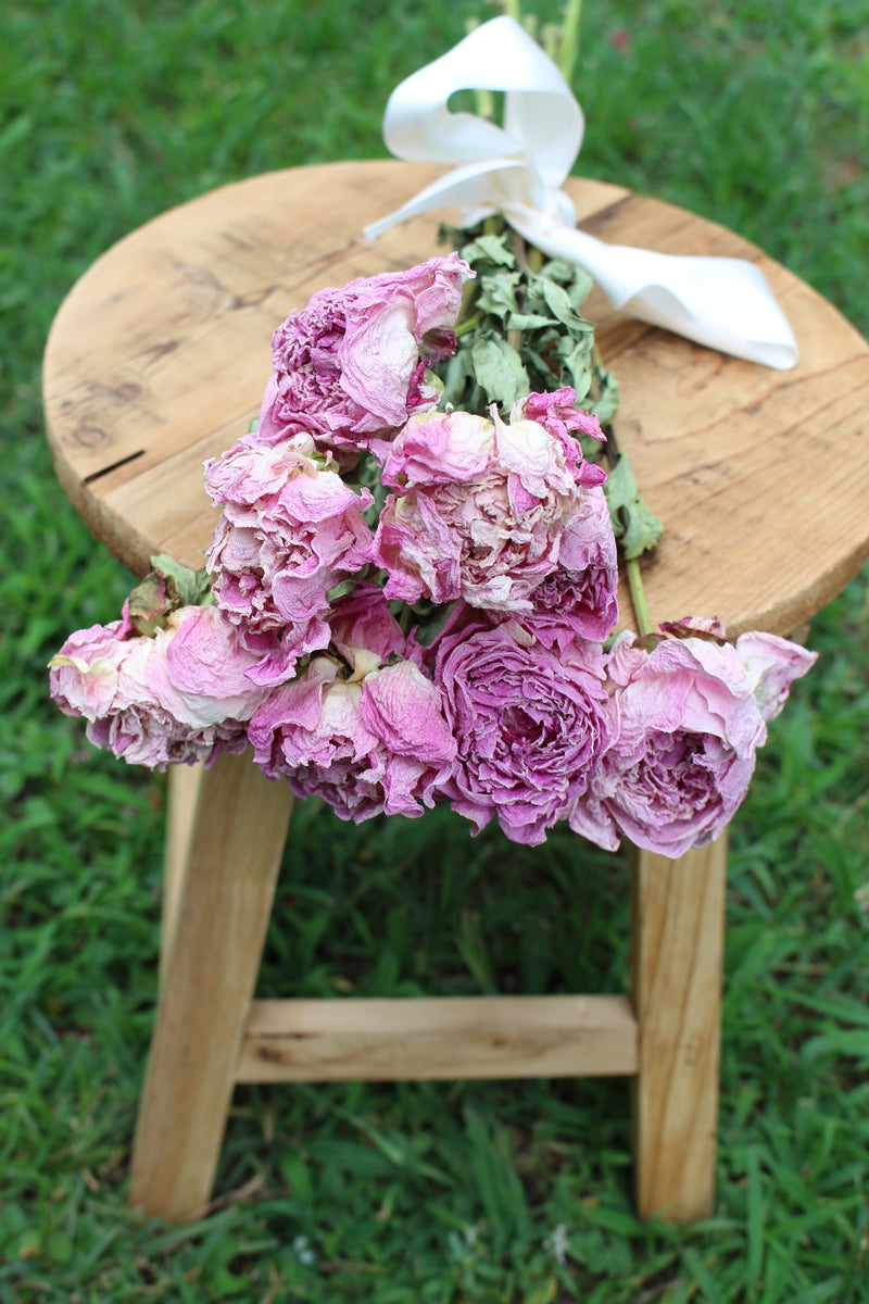 Mini Bouquet - Dried Pink Peony (Paeonia) Arrangement – Film & Florals