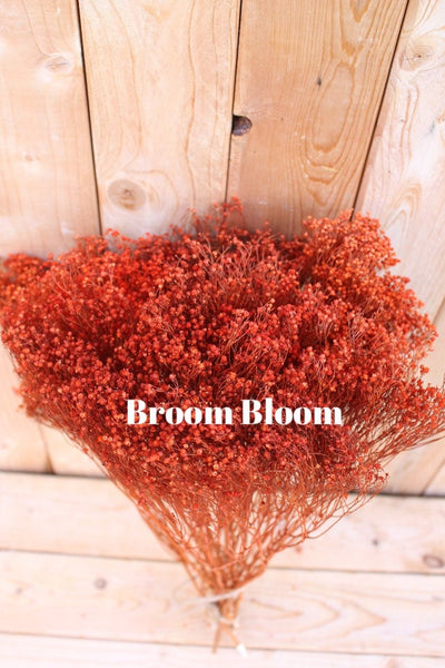 Terracotta Cinnamon Rust Burnt Oak Collection Dried Florals/ Arrangements/ Boho Wedding/ Home Decor