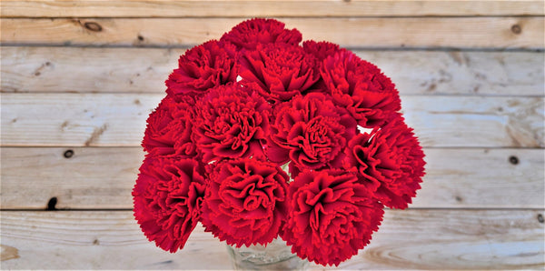 Candy Red Stemmed Sola Wood Carnation Flowers, Gift for Her, Sola Flowers on Wire Stems, DIY sola bouquet