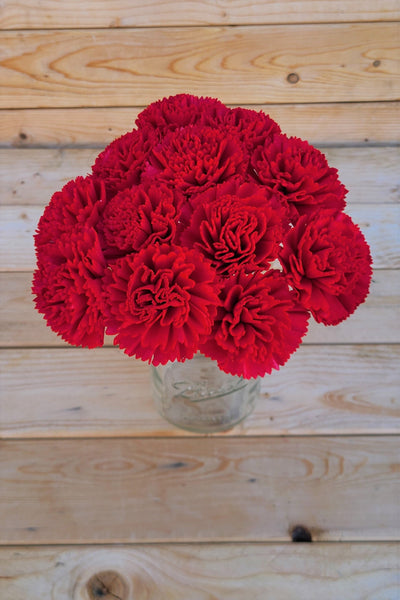 Candy Red Stemmed Sola Wood Carnation Flowers, Gift for Her, Sola Flowers on Wire Stems, DIY sola bouquet