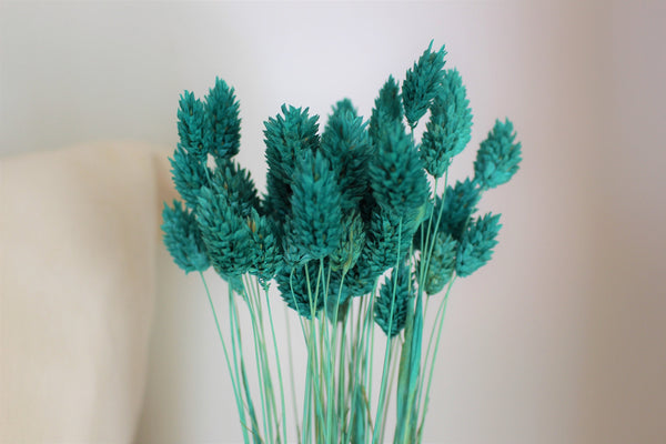Turquoise Dried Phalaris,Fall Flowers,Textured Bunny Tails,Phalaris Grass Tails,Canary Grass,Home Decor,