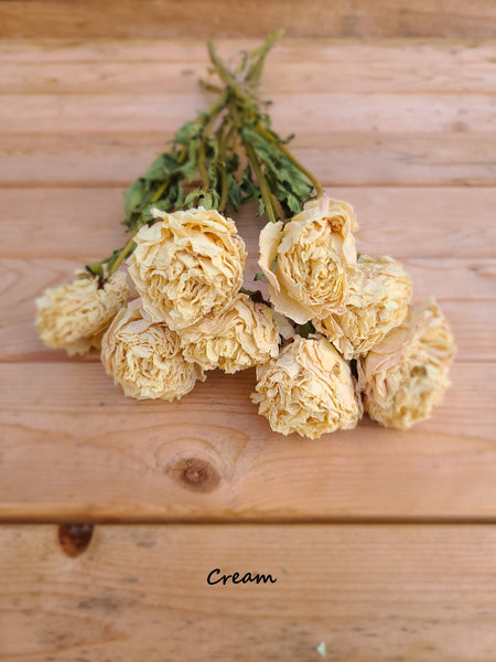 Dried peonies for weddings, dried peony bouquet, dried peony bunch, dried flowers for vase, rose substitute, peonies, pink peony