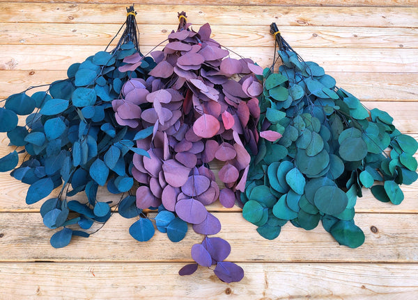Bunches of preserved silver dollar eucalyptus, green, burgundy, blue eucalyptus for garlands, eucalyptus wreath, greenery for weddings