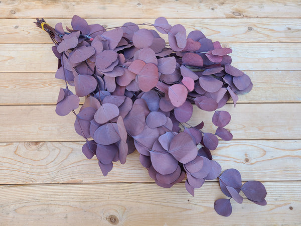 Bunches of preserved silver dollar eucalyptus, green, burgundy, blue eucalyptus for garlands, eucalyptus wreath, greenery for weddings