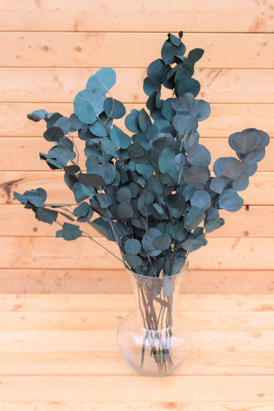Bunches of preserved silver dollar eucalyptus, green, burgundy, blue eucalyptus for garlands, eucalyptus wreath, greenery for weddings