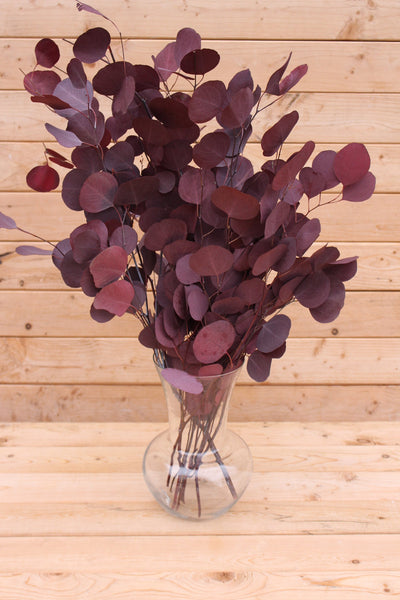 Bunches of preserved silver dollar eucalyptus, green, burgundy, blue eucalyptus for garlands, eucalyptus wreath, greenery for weddings