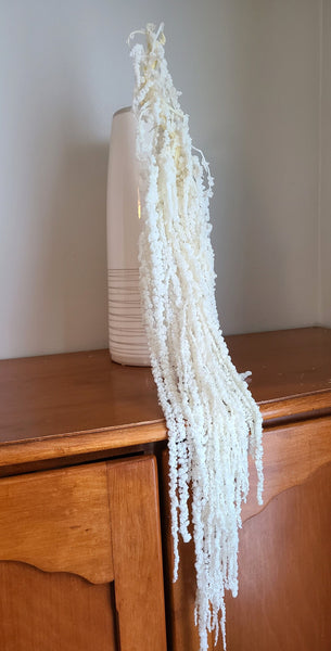 Preserved ivory amaranthus, ivory wedding flowers, flowers for winter, cascading dried flowers, cascading wedding bouquet