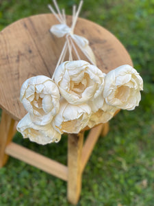 Display of natural white sola wood flower peonies on wood stem or reed diffuser for scents