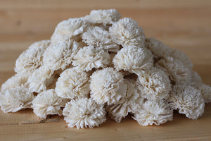 Wholesale / Bulk Sola Wood  Flowers
