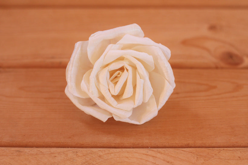 Premium Sola Flowers