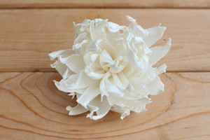 Bulk Sola Wood Flowers Wholesale Prices