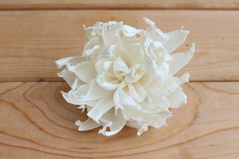 Bulk Sola Wood Flowers Wholesale Prices