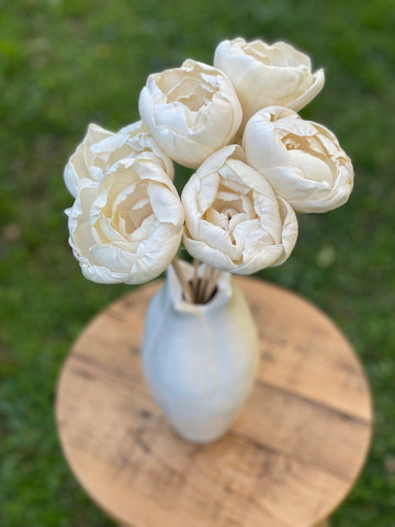 Natural white peony sola flowers on stems made of a soft wood displayed on a wooden chair