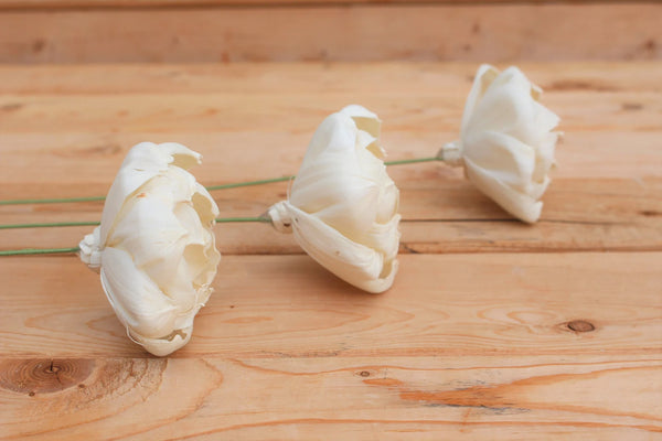 Sola wood flowers on cloth wired stems