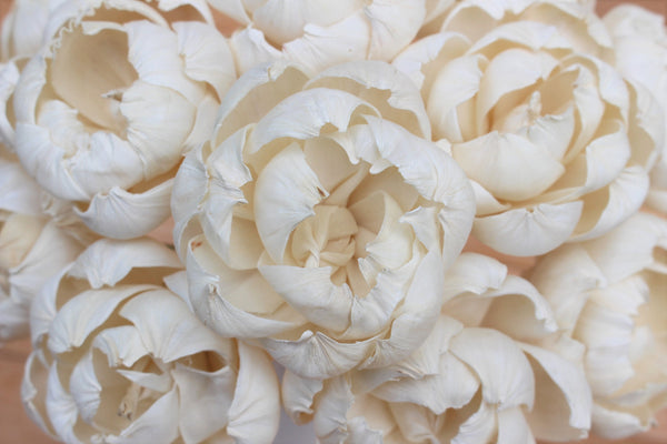 Sola Wood Love Peony Flowers, Sola Flowers on Stems, Centerpiece Flowers, Farmhouse Decor