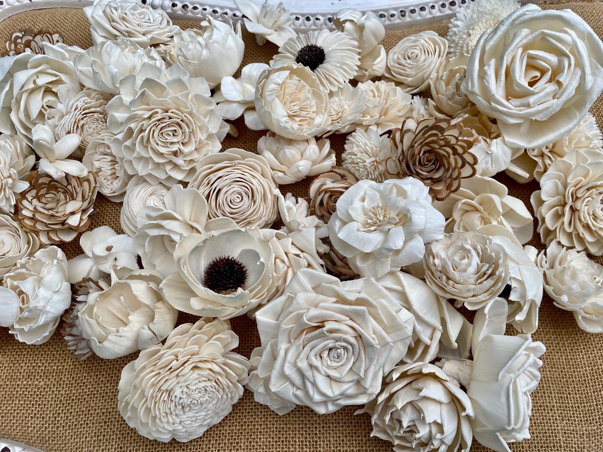 100 Sola Wood Flower Assortment 50 Sola Flower Assortment