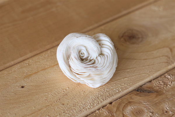 2" Sola Shell Flowers ( Set of 12 )