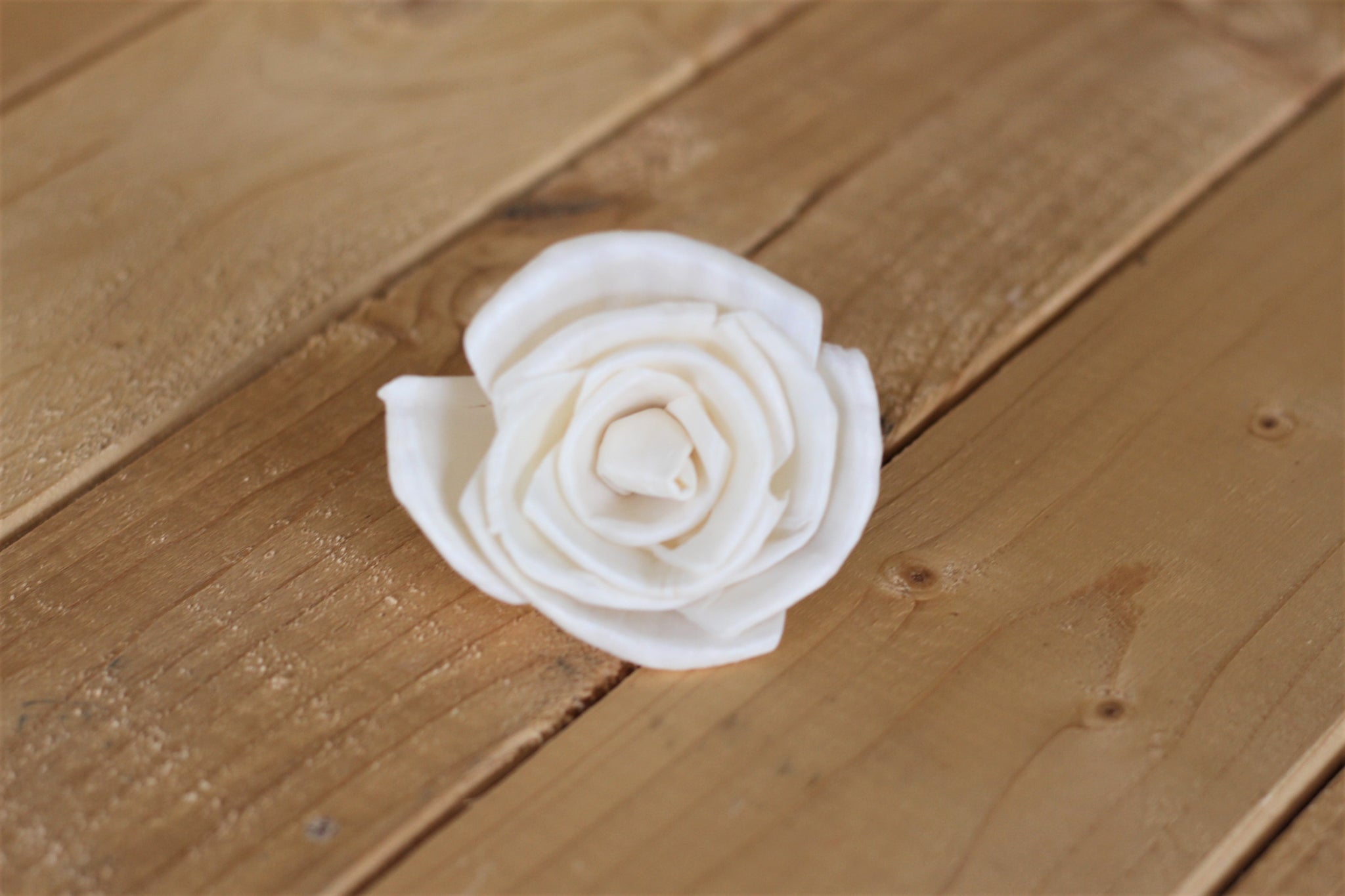 2" Sola Classic Roses ( Set of 12 )