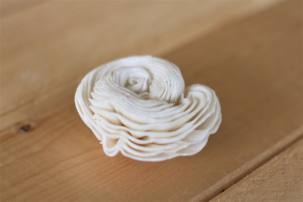 2" Sola Shell Flowers ( Set of 12 )