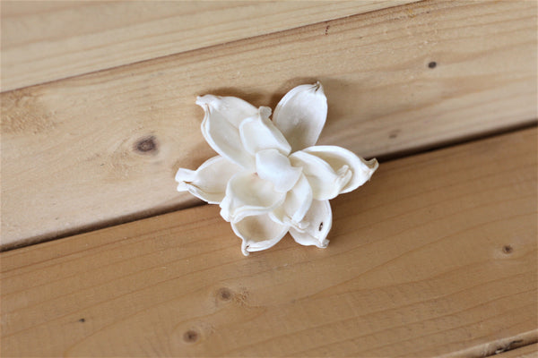 2" Sola Gardenias ( Set of 12 )