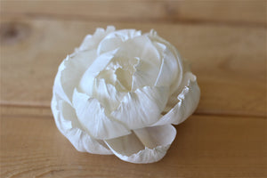 Premium Sola Wood Peonies 3" (Set of 10)