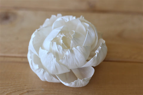 Premium Sola Wood Peonies 3" (Set of 10)