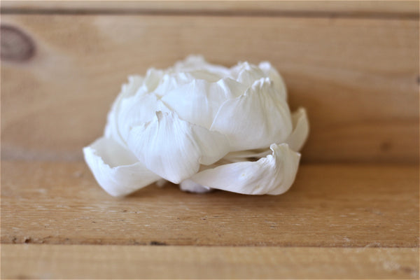Premium Sola Wood Peonies 3" (Set of 10)