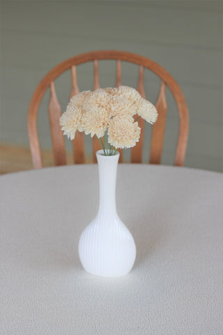 2" Stemmed Zinnias ( Set of 12 )
