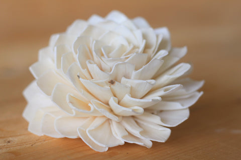 4"  Sola Dahlias ( Set of 5 )