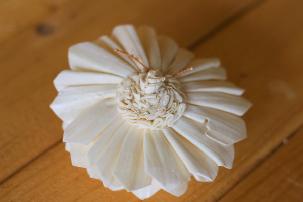 Sola Wood Dahlias 3"