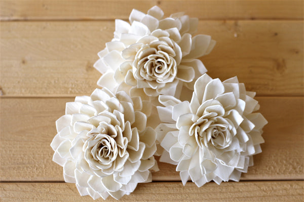4"  Sola Dahlias ( Set of 5 )