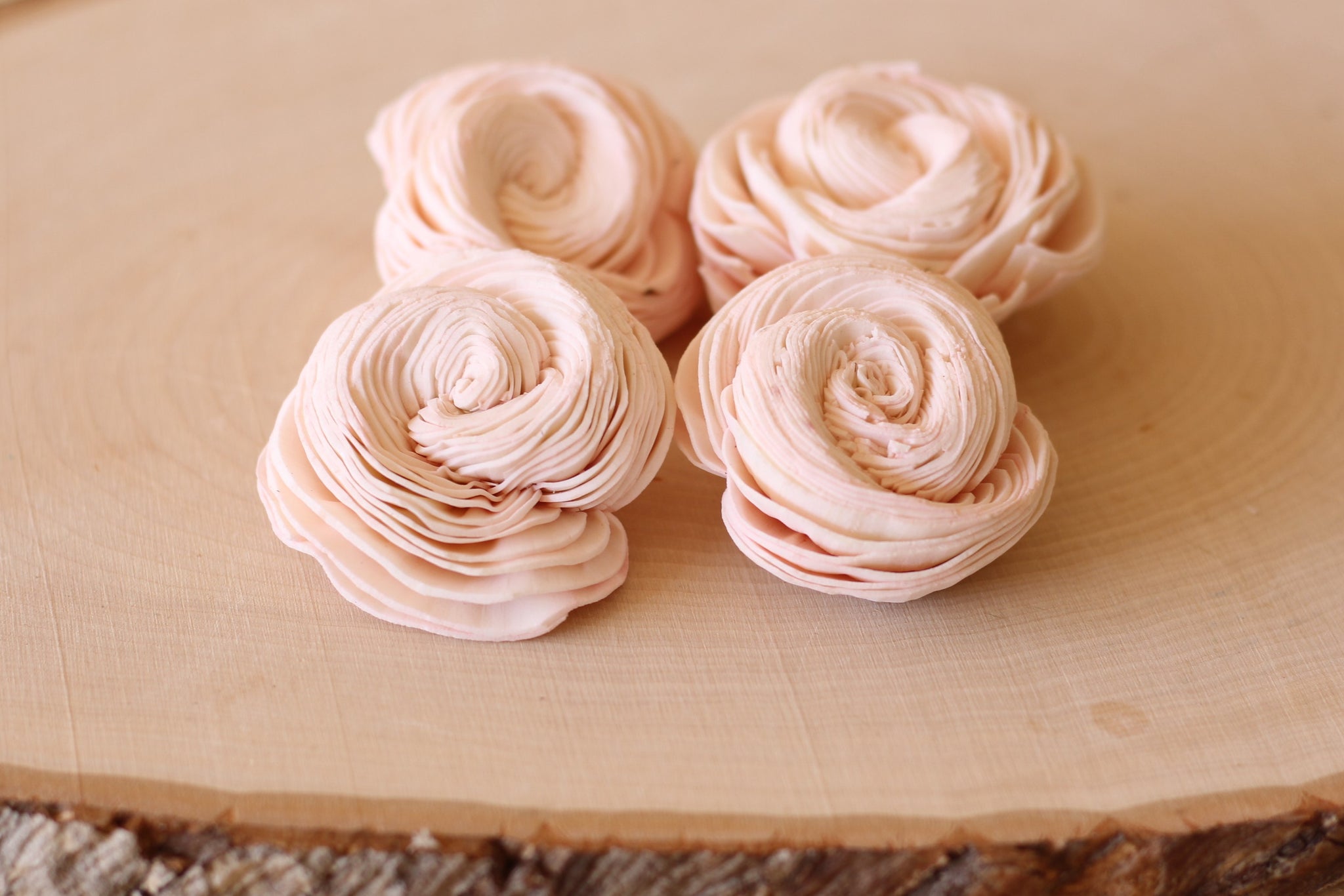 Blush Pink Sola Wood Shell Flowers 2" ( Set of 12 )